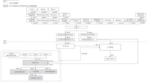 手回科技IPO 6年60倍估值神話背后的隱憂與挑戰(zhàn)